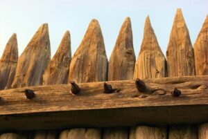 siatka leśna jak gęsto słupki